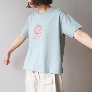 CATの画像