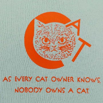 CATの画像