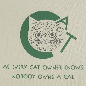 CATの画像