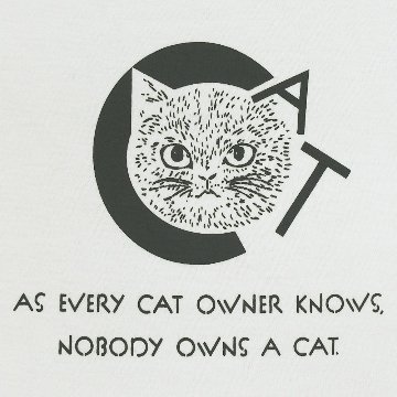 CATの画像