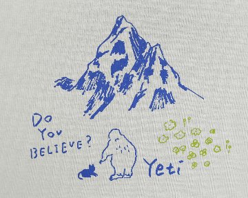 Yeti-j26-06の画像