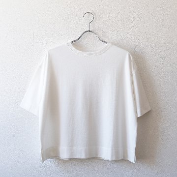 定番のコットン100％-シンプルTシャツ画像