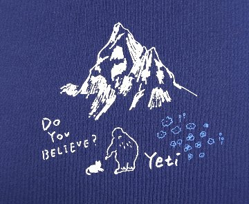 Yeti-j26-06の画像