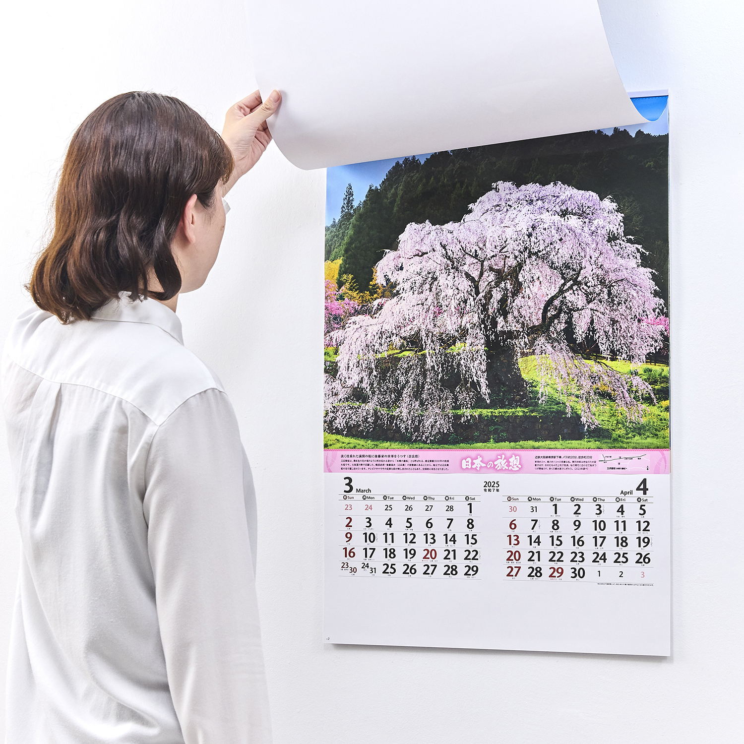 （フィルム）日本の旅想【旅情報付きで旅情を駆り立てる日本の風景／10冊からご注文OK】¥43,868(税込)〜の画像