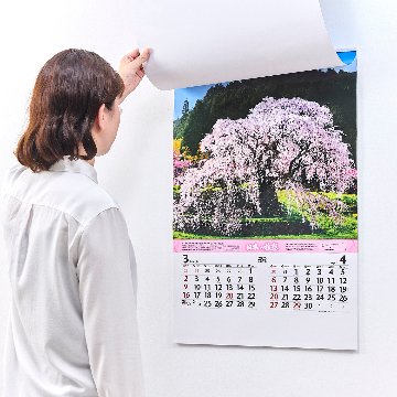（フィルム）日本の旅想【旅情報付きで旅情を駆り立てる日本の風景／10冊からご注文OK】¥43,868(税込)〜の画像