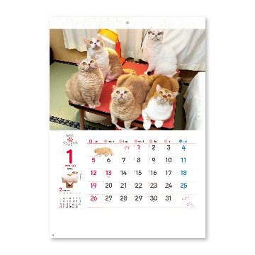 ねこと生活 みかんとじろうさんちカレンダー【SNSで大人気の猫たちに癒されるカレンダー／30冊からご注文OK】¥41,778(税込)〜の画像