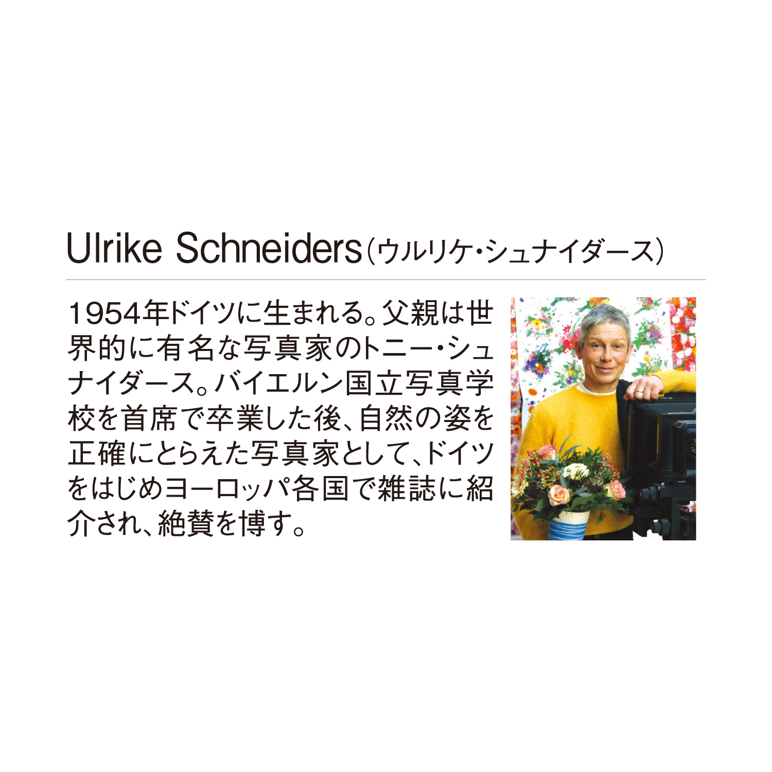 花の贈り物【高級感あふれるフラワーアレジメントが大好評！／10冊からご注文OK】¥21,890(税込)〜の画像