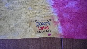 20th anniversary abiru　日本手ぬぐいの画像