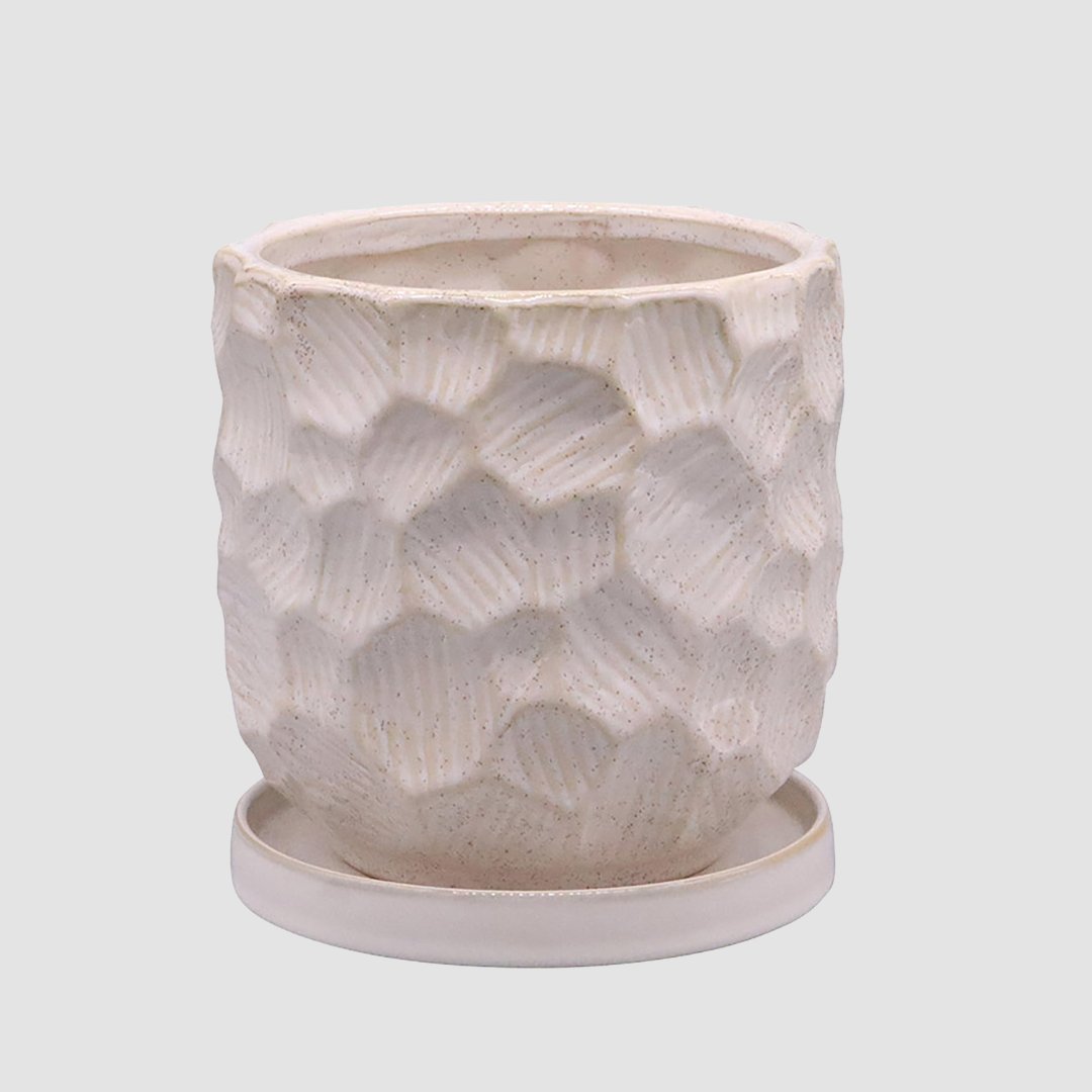 ジェロポット ホワイトの画像