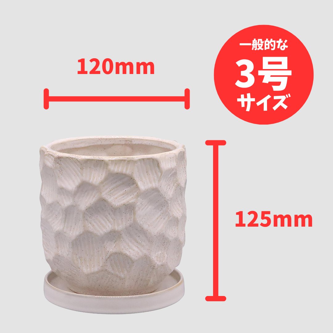 ジェロポット ホワイトの画像