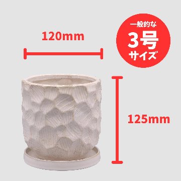 ジェロポット ホワイトの画像