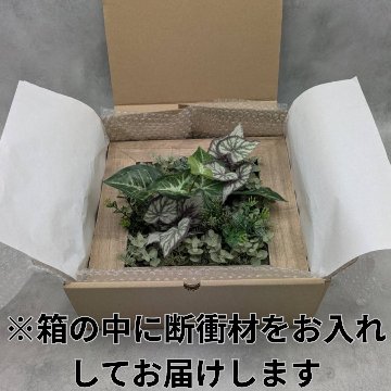 造花グリーン木製フレーム壁掛けの画像