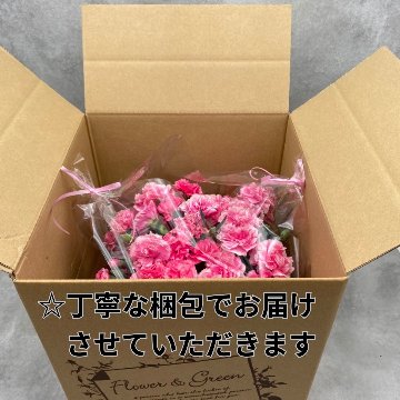 母の日ギフトカーネーションの画像
