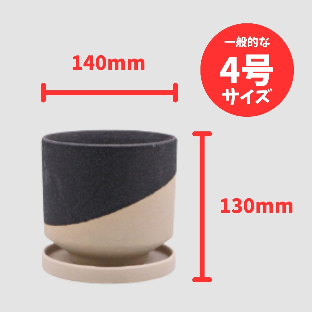 レヒーポットB L ホワイトの画像
