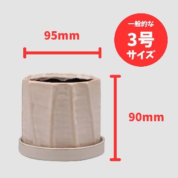 アルブースポットB Sの画像