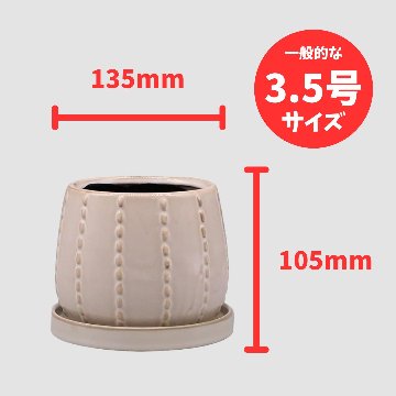 アルブースポットD Sの画像
