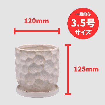 ジェロポット S ホワイトの画像