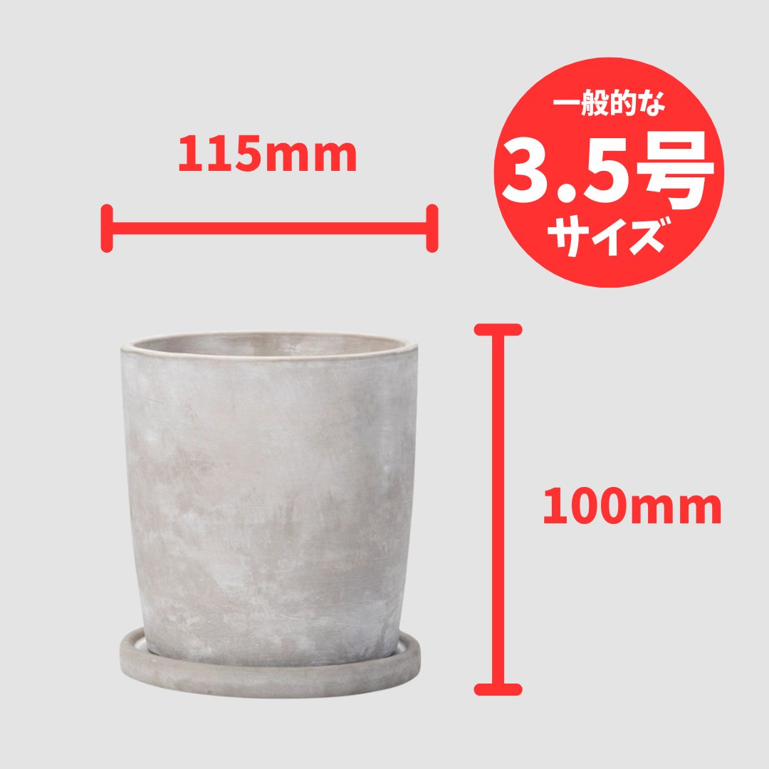 セメントポットラウンド Sの画像
