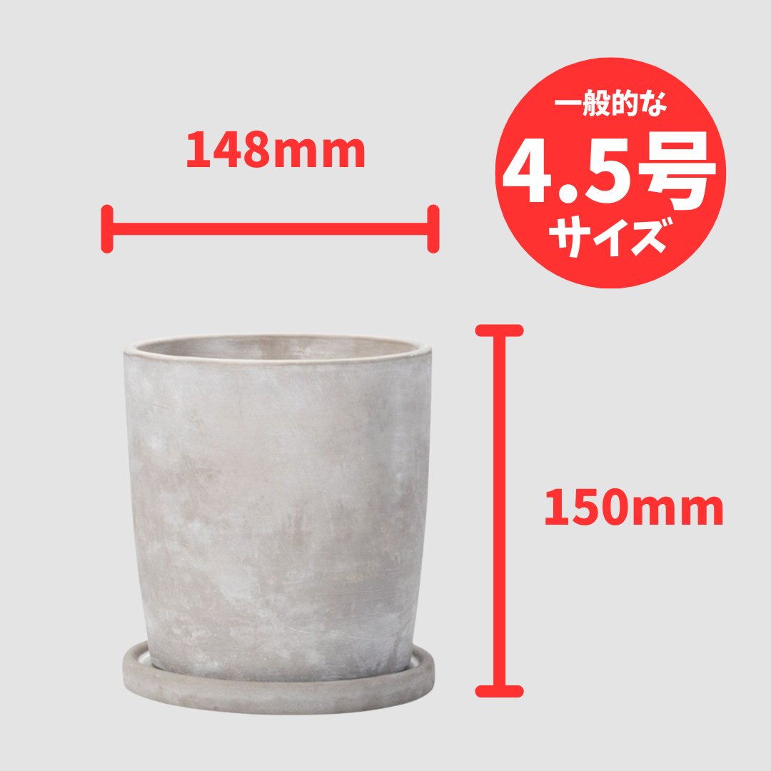 セメントポットラウンド Lの画像
