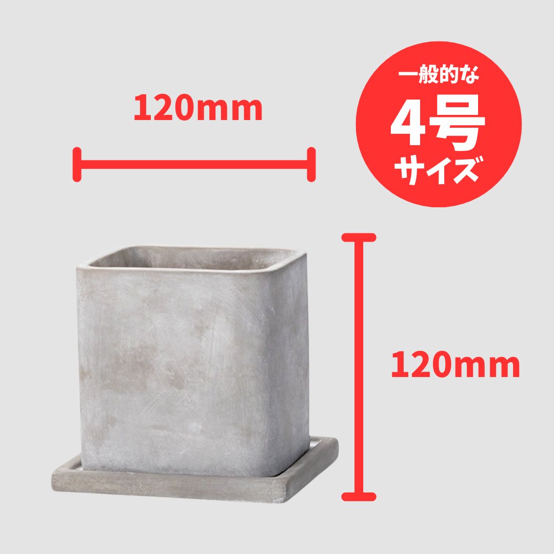 セメントポットスクエア Lの画像