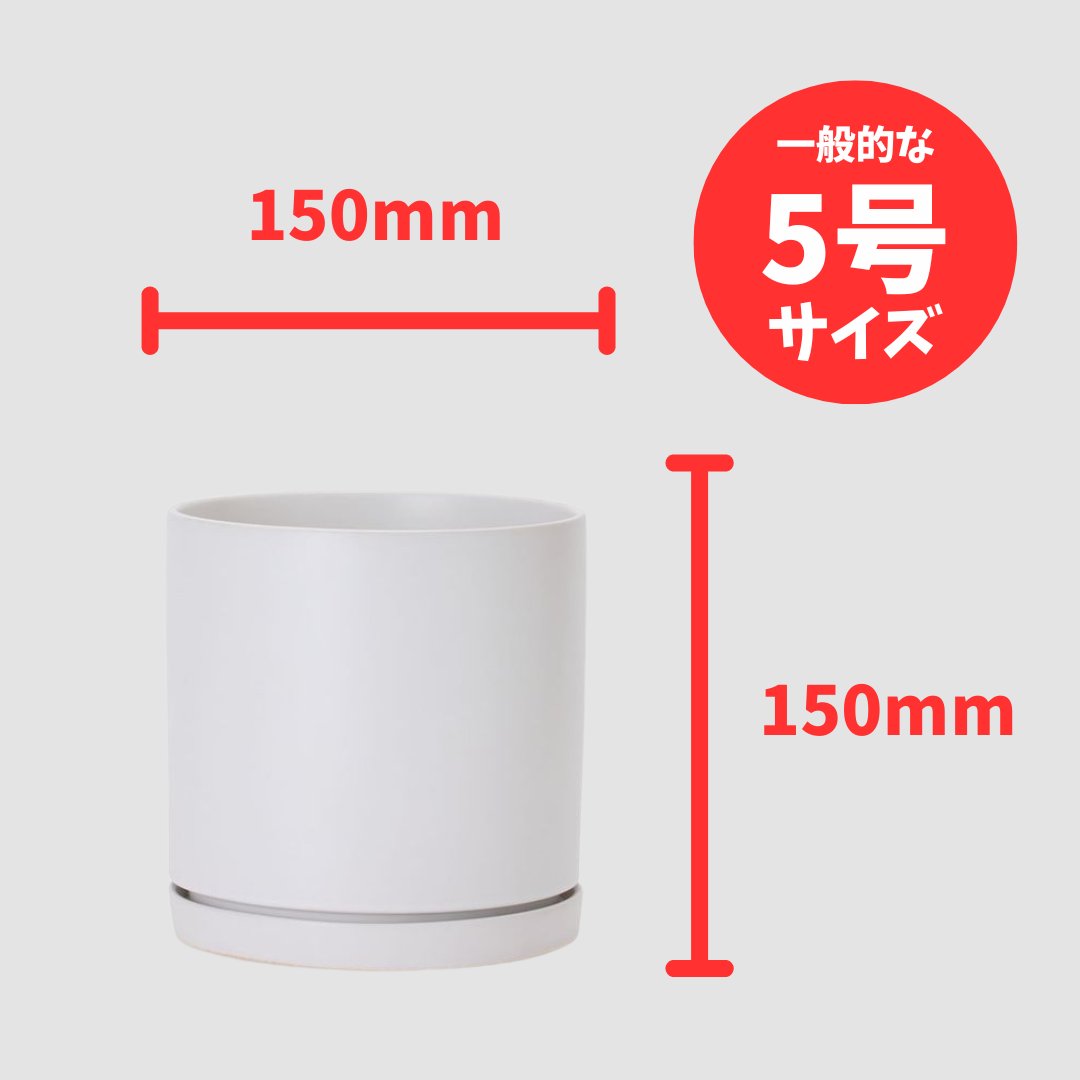 モダンマット釉 5号（XS）ホワイトの画像