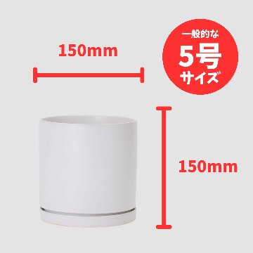 モダンマット釉 5号（XS）ホワイトの画像