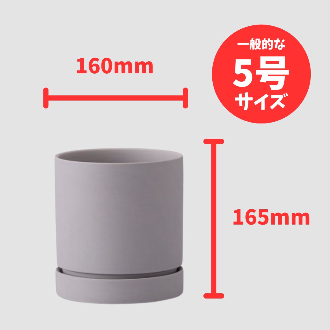 リア鉢 M グレーの画像