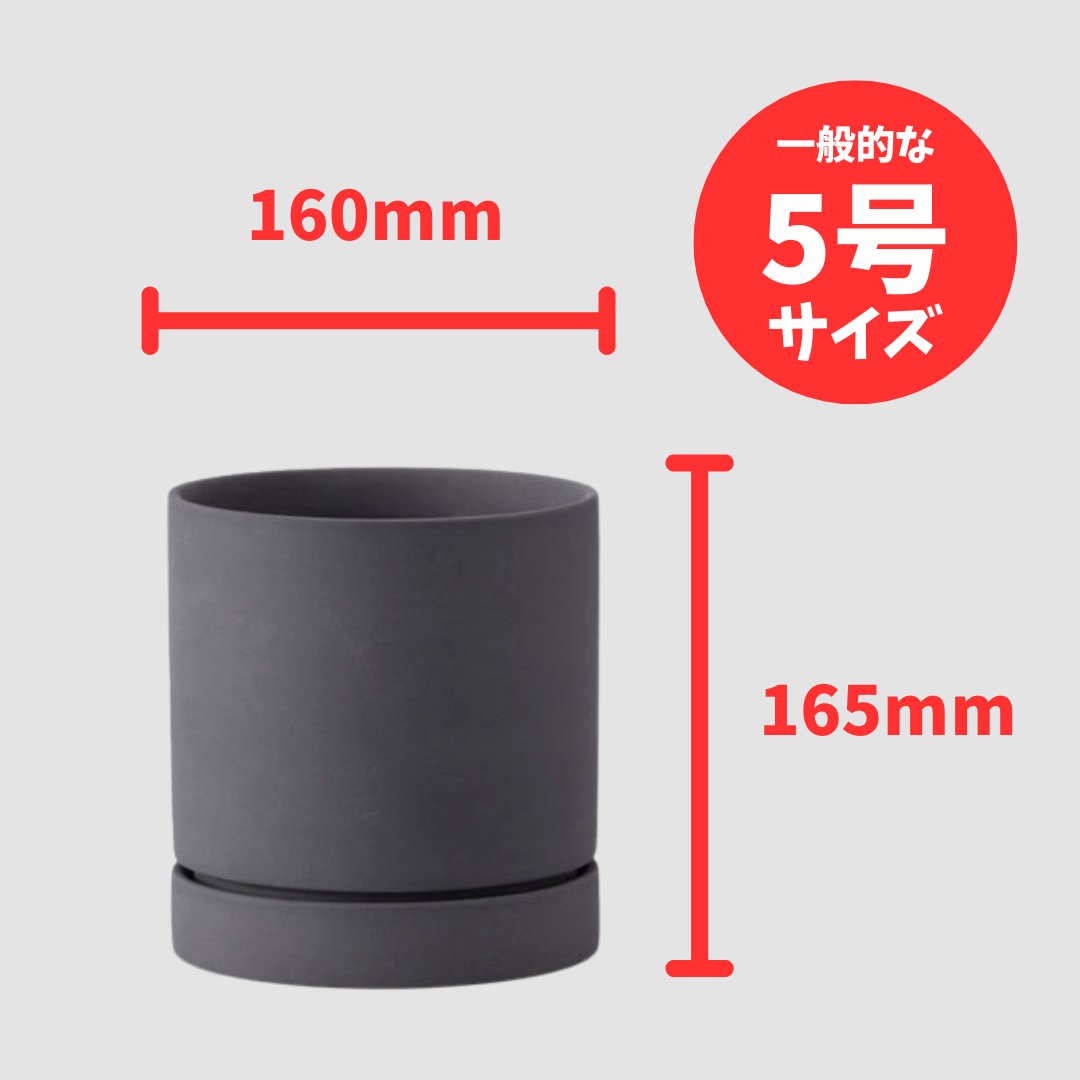 リア鉢 M ブラックの画像