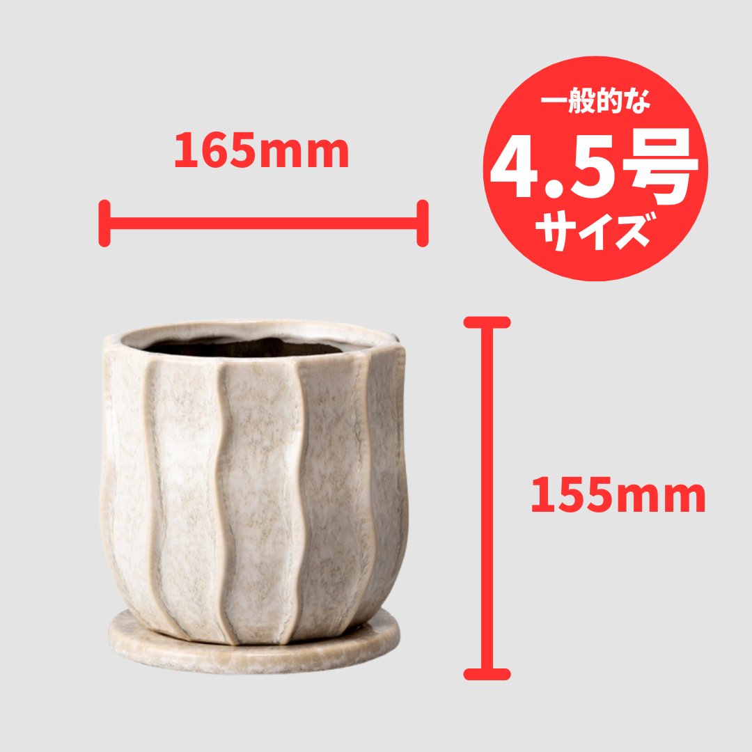 サティ鉢 L ホワイトの画像