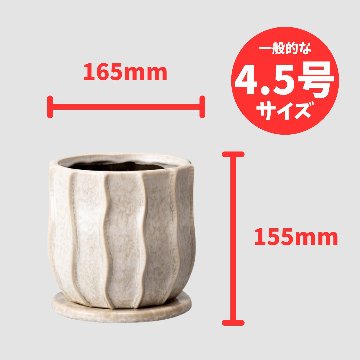 サティ鉢 L ホワイトの画像