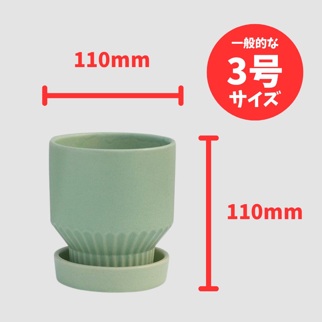 ラブロー鉢 ミントの画像