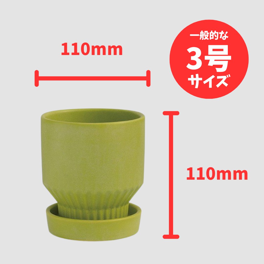 ラブロー鉢 ピスタチオの画像