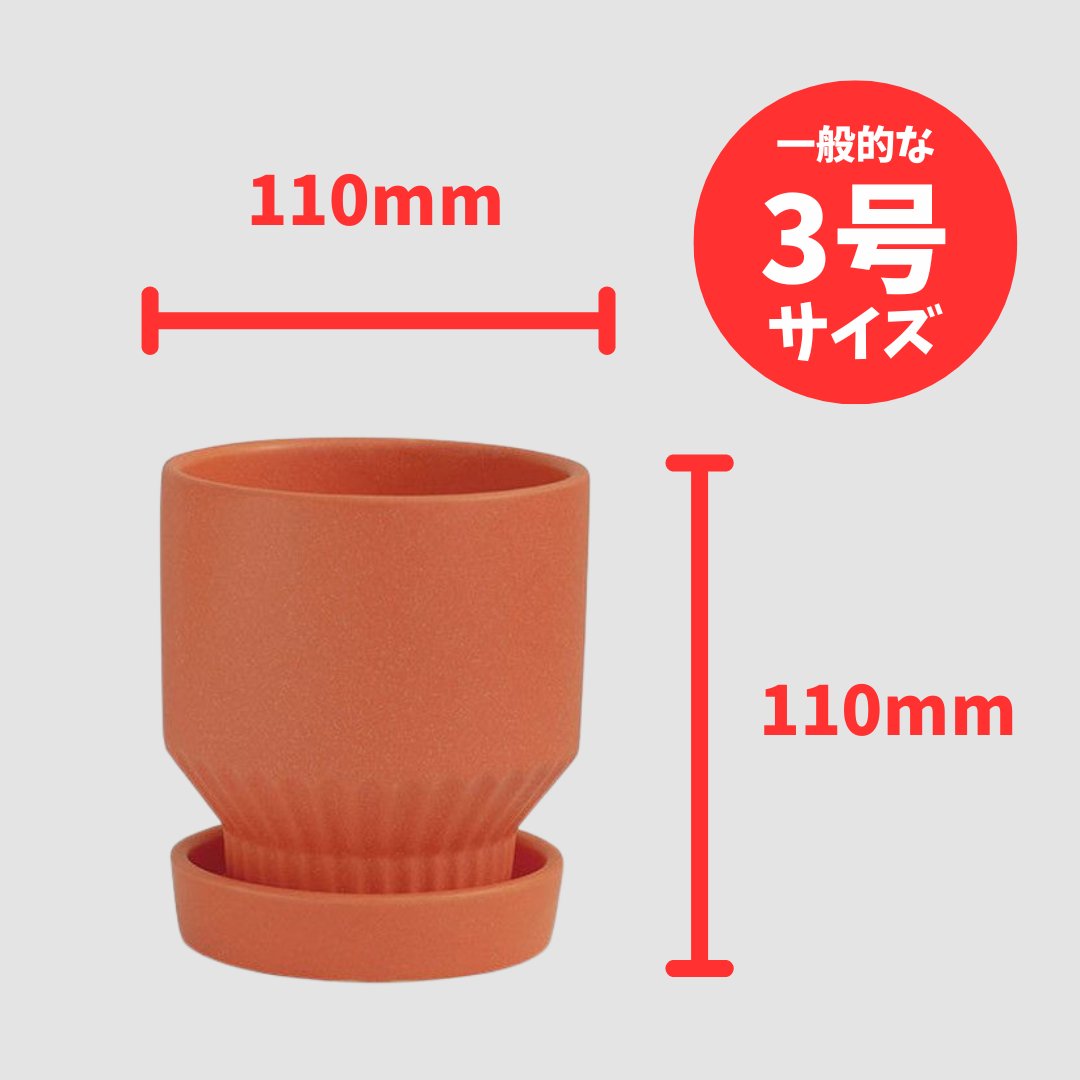 ラブロー鉢 オレンジの画像