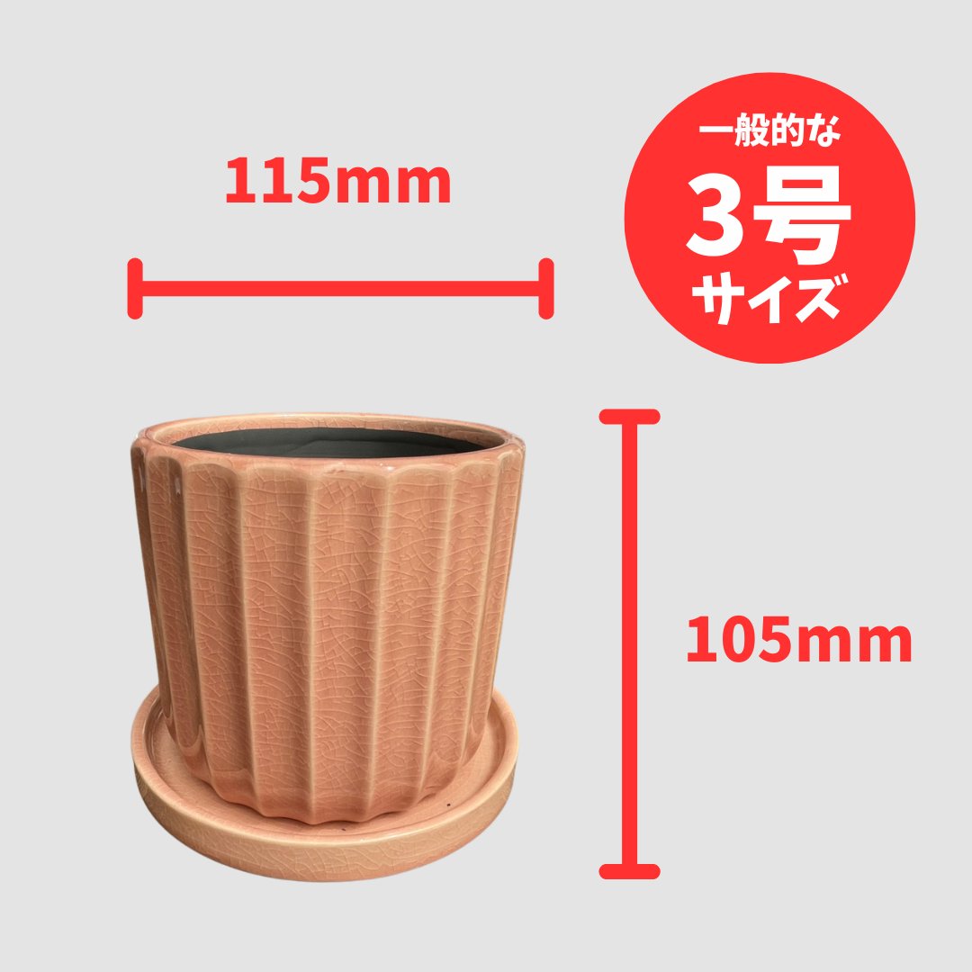 アコールストライプポット M ピンクの画像