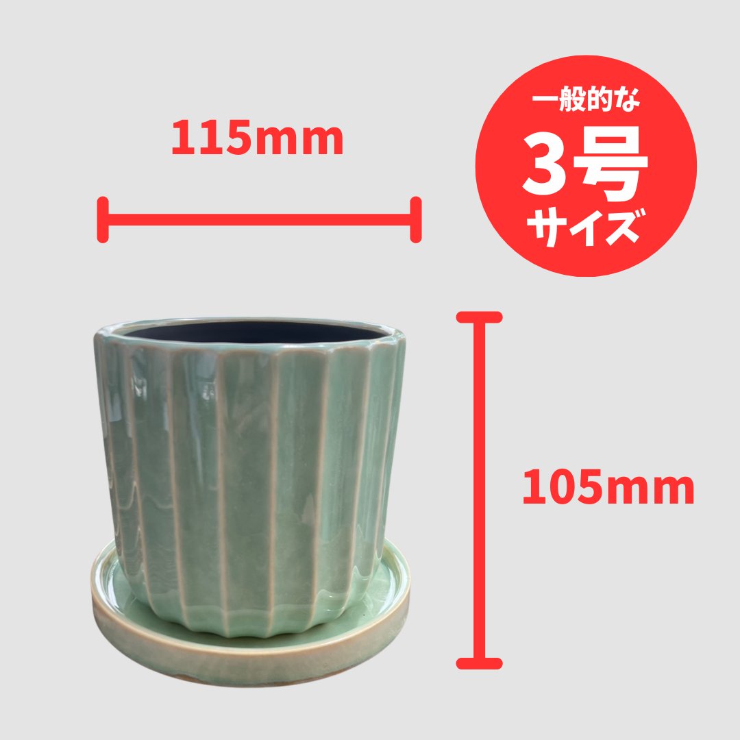 アコールストライプポット M ライトグリーンの画像