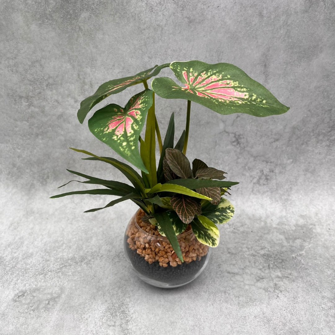 ミックスリーフ ラウンドの画像