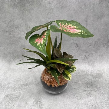 ミックスリーフ ラウンドの画像
