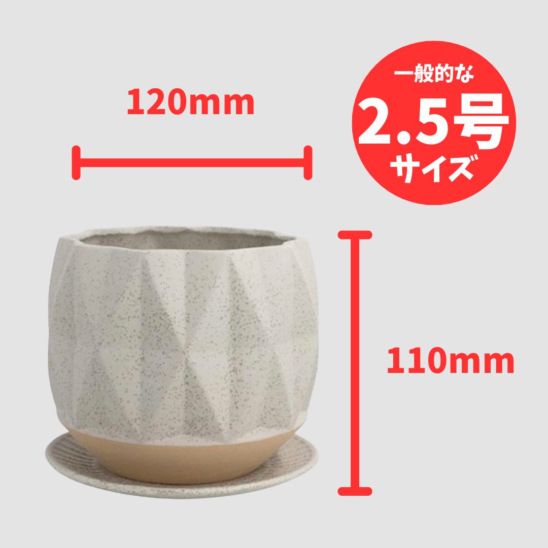 ロム　クリームの画像