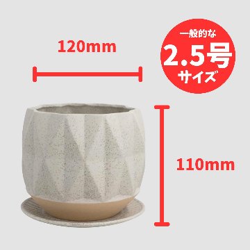 ロム　クリームの画像