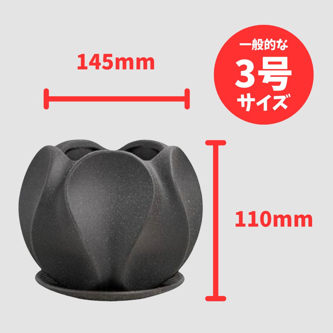 オンブル　チャコールの画像