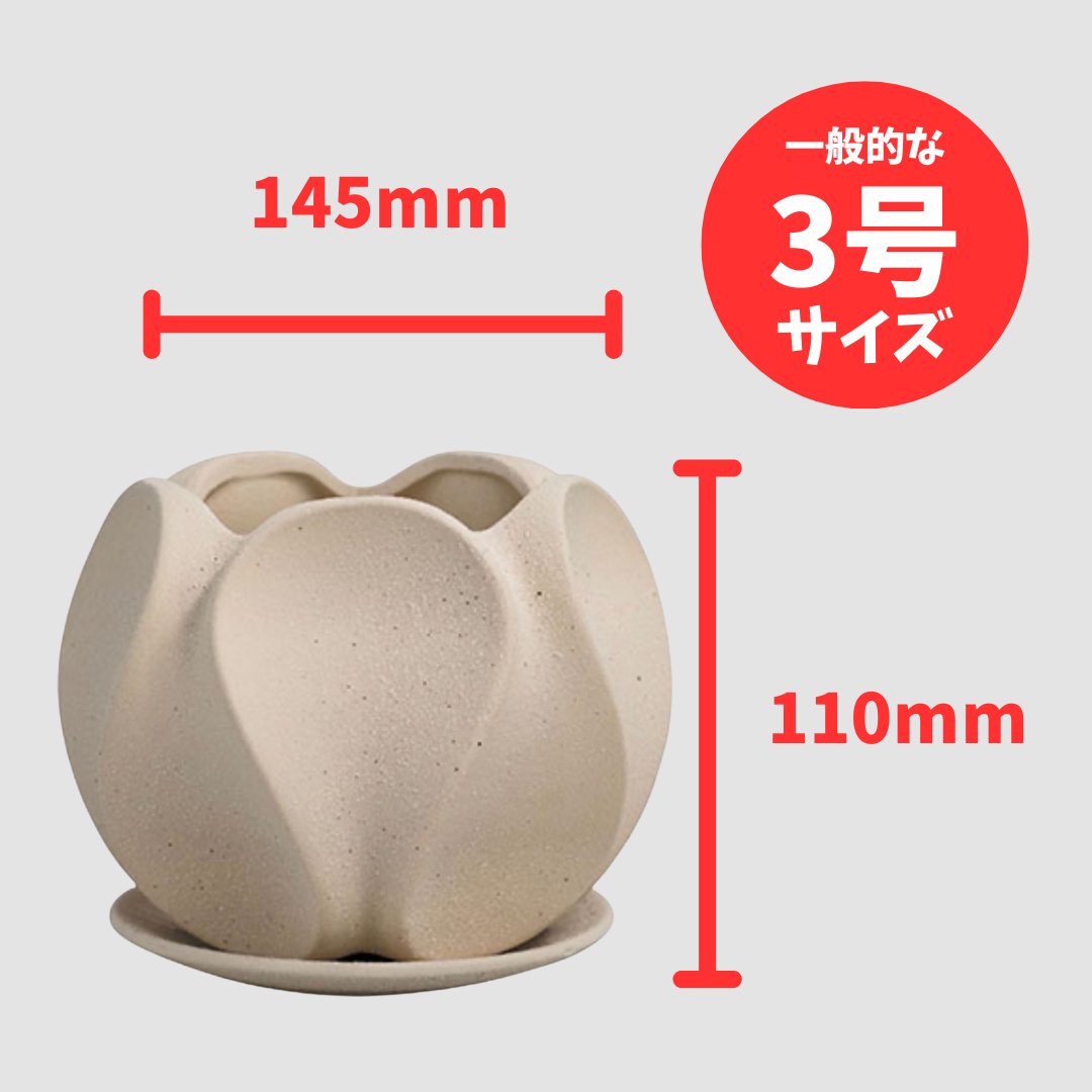 オンブル鉢　アイボリーの画像