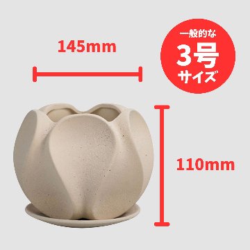 オンブル鉢　アイボリーの画像