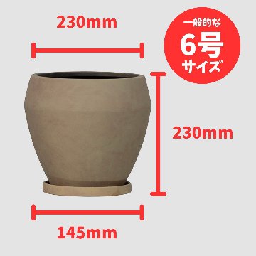 レイブン　ブラウンウォッシュの画像