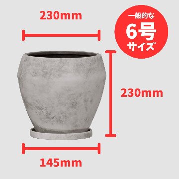 レイブン　グレーウォッシュの画像