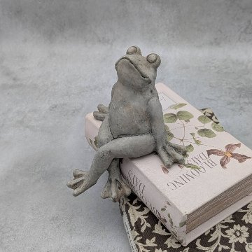 のんびりカエルの待ちぼうけの画像
