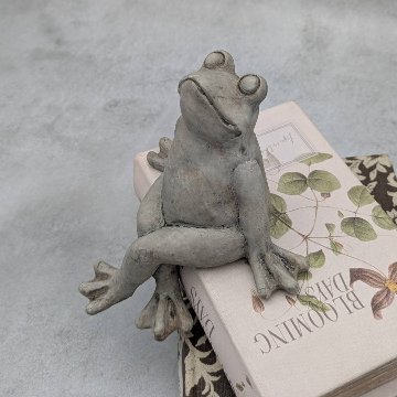 のんびりカエルの待ちぼうけの画像