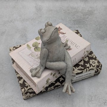 のんびりカエルの待ちぼうけの画像