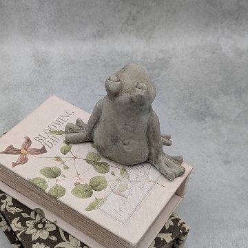 のんびりカエルの待ちぼうけの画像