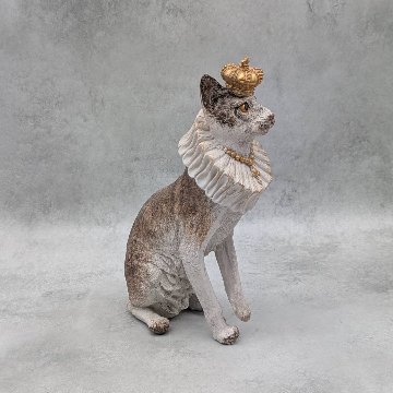 エリザベスキャットの画像