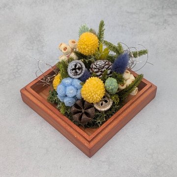 ボタニカルボックスの画像